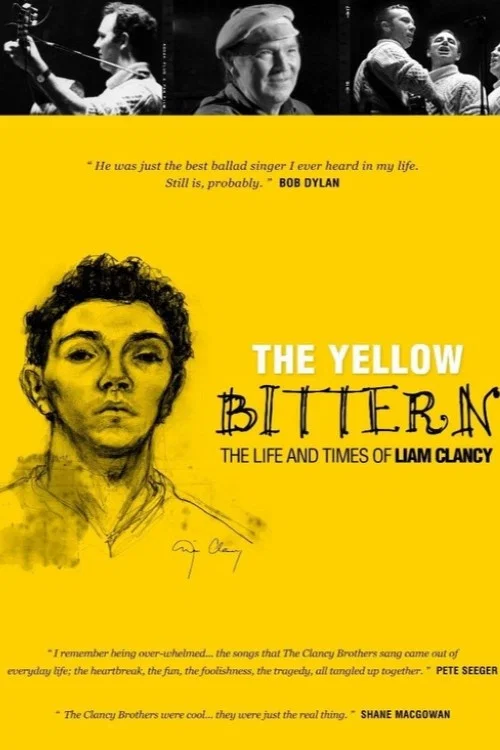 Movie poster for The Yellow Bittern