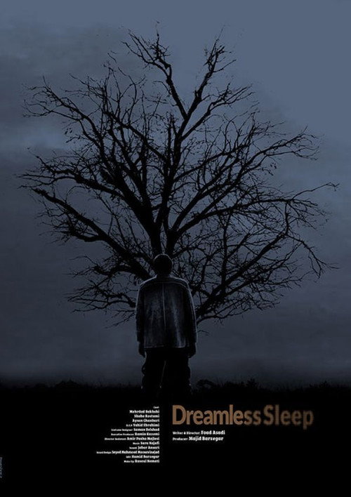 Movie poster for Dreamless Sleep (2020)