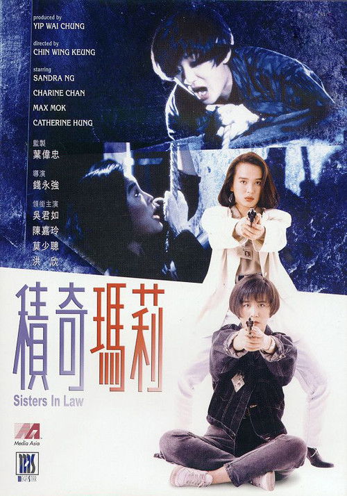 Movie poster for Sisters In Law (1992)