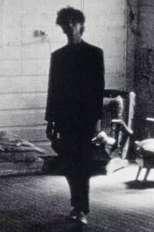 Movie poster for Deadpan (1985)