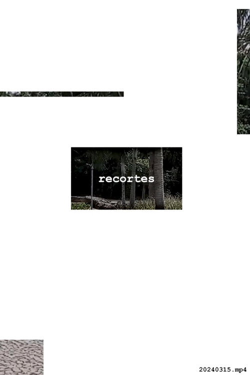Movie poster for Recortes - 20240315 (2024)
