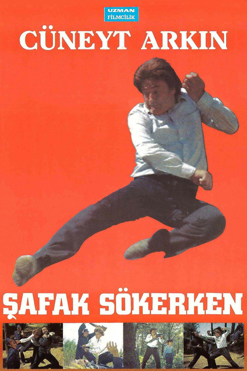 Movie poster for Şafak Sökerken (1988)