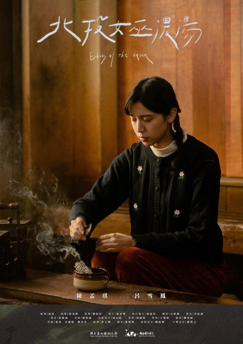 Echoes of the Onsen poster