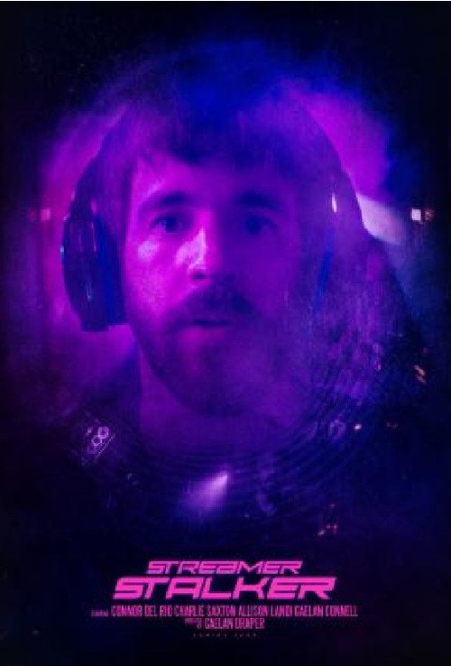 Movie poster for Streamer Stalker (2022)