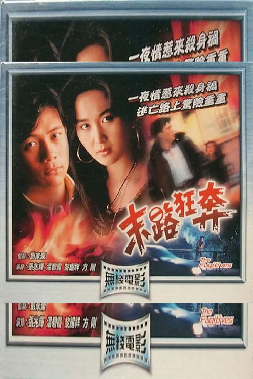 Movie poster for The Fugitives (1991)