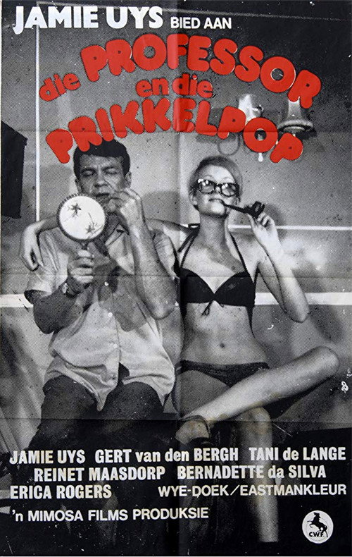 Movie poster for The Professor and the Beauty Queen (1967)