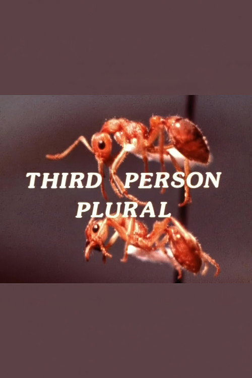 Movie poster for Third Person Plural (1978)