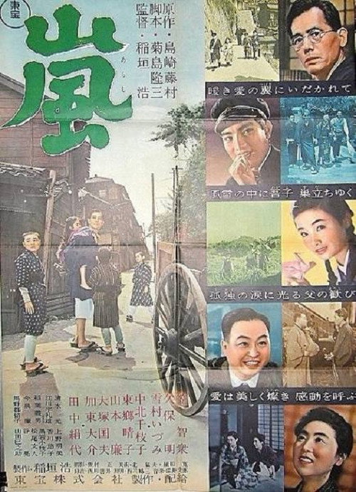 Movie poster for The Storm (1956)