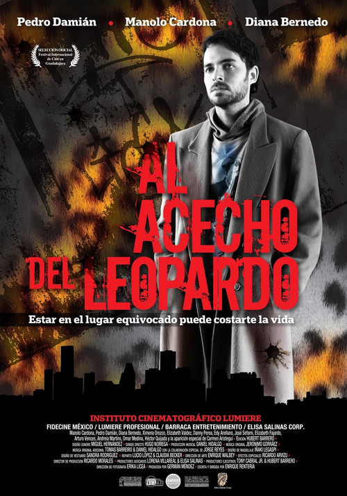Movie poster for Al acecho del leopardo (2011)