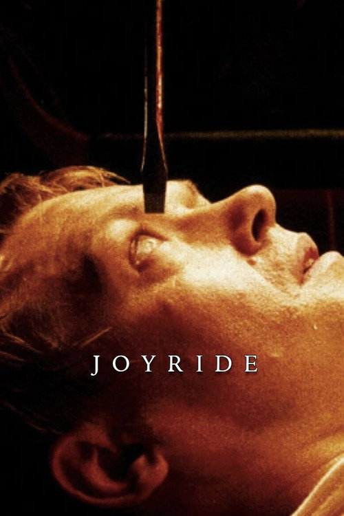 Movie poster for Joyride (1996)
