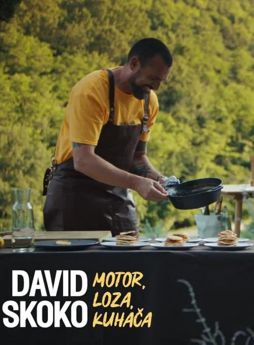 Series poster for David Skoko: Motor, loza, kuhača (2023)