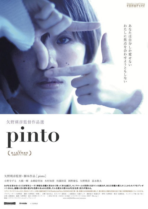 Movie poster for Pinto (2016)
