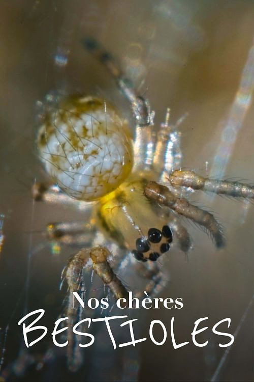 Series poster for Nos chères bestioles (2023)