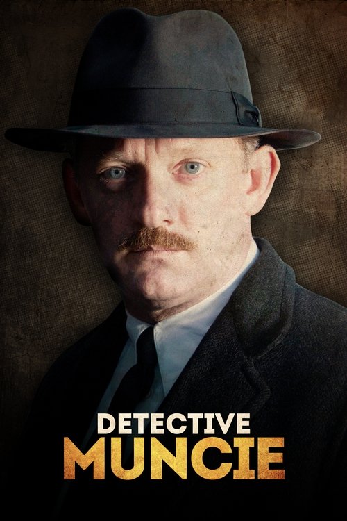 Series poster for In Plain Sight (2016)