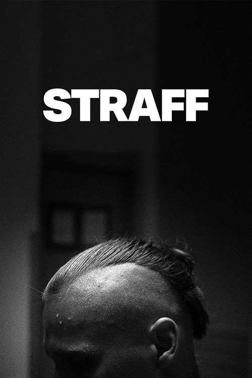 Movie poster for Punishment (2024)