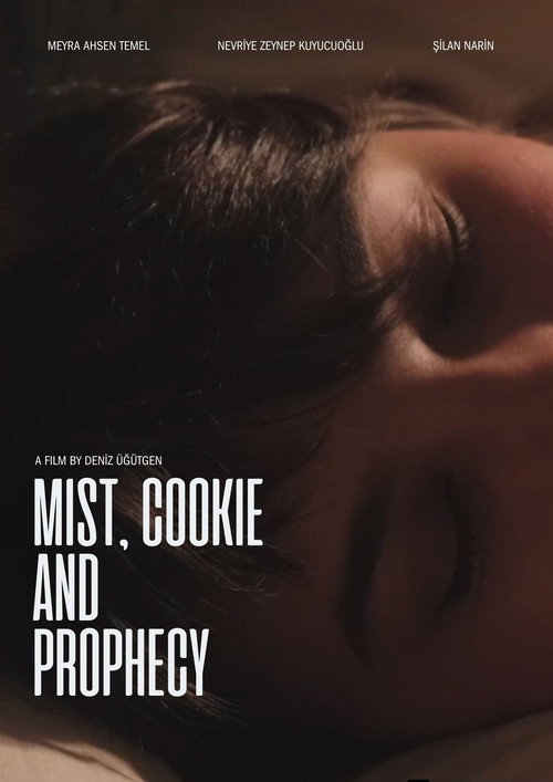 Movie poster for Mist, Cookie and Prophecy