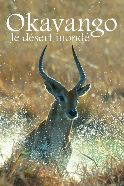 Movie poster for Kalahari: The Flooded Desert (2021)