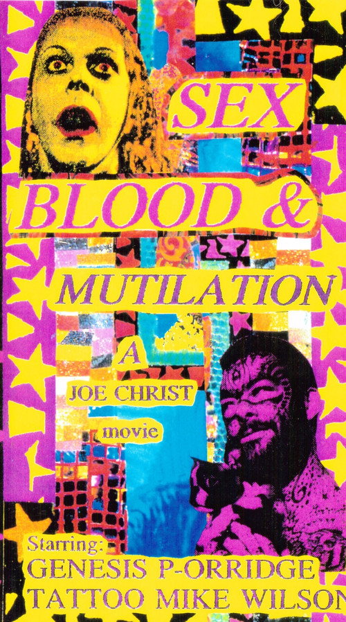 Movie poster for Sex, Blood and Mutilation (1995)