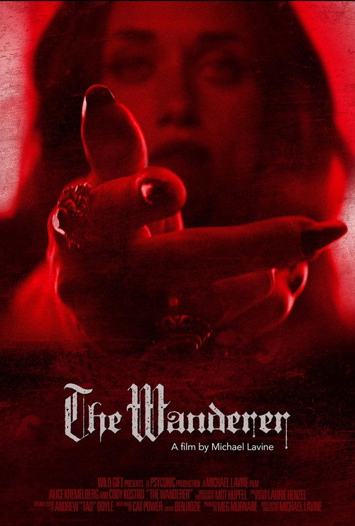 Movie poster for The Wanderer (2025)