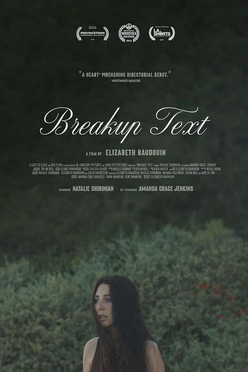 Movie poster for Breakup Text (2023)