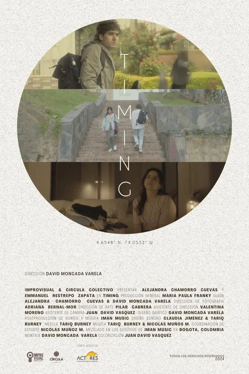 Movie poster for Timing