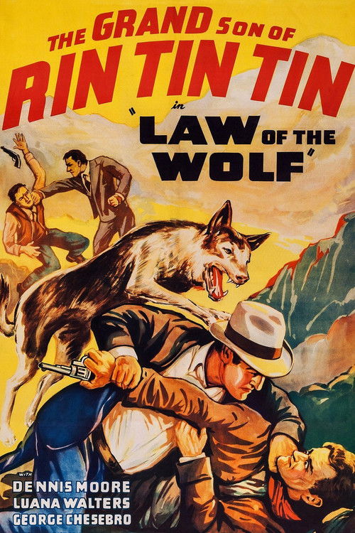 Movie poster for Law of the Wolf (1939)