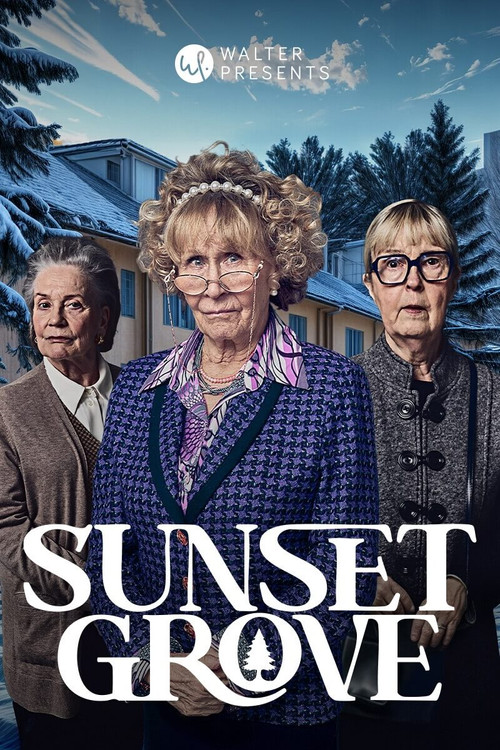 Sunset Grove poster