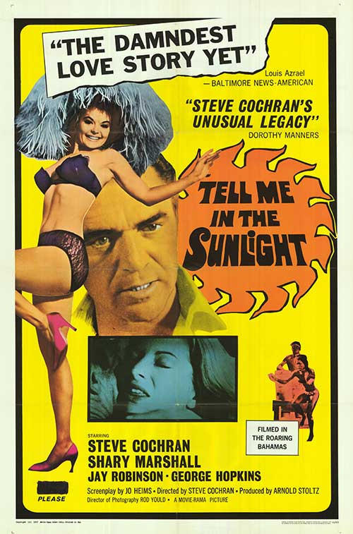 Movie poster for Tell Me In The Sunlight (1965)