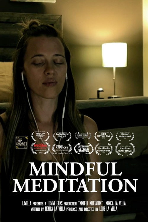 Movie poster for Mindful Meditation (2022)