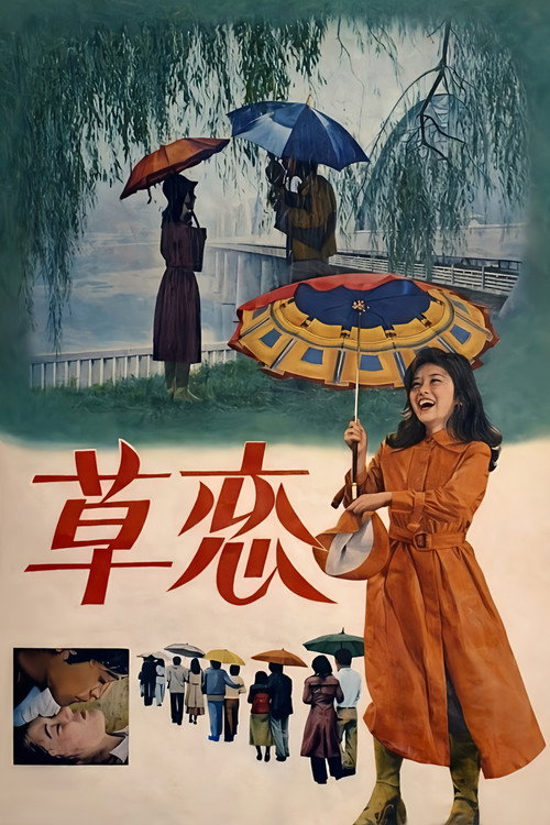 Movie poster for Love In The Rain (1975)