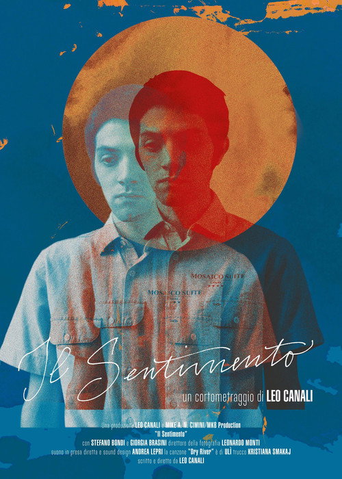 Movie poster for Il Sentimento (2016)