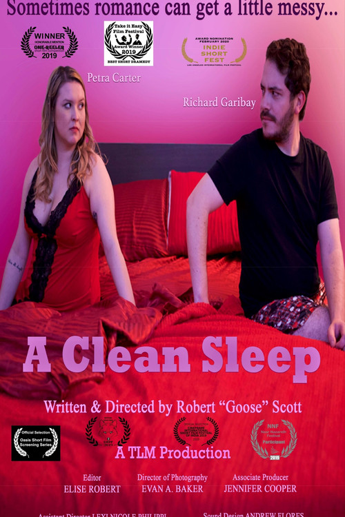 Movie poster for A Clean Sleep (2017)