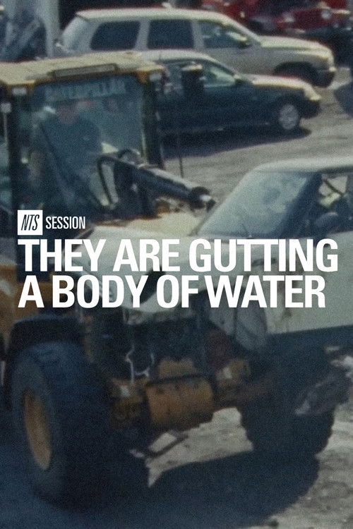 Movie poster for they are gutting a body of water | NTS Session (2026)