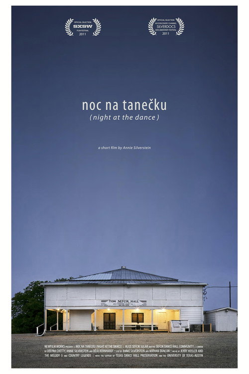 Movie poster for Night at the Dance (2011)