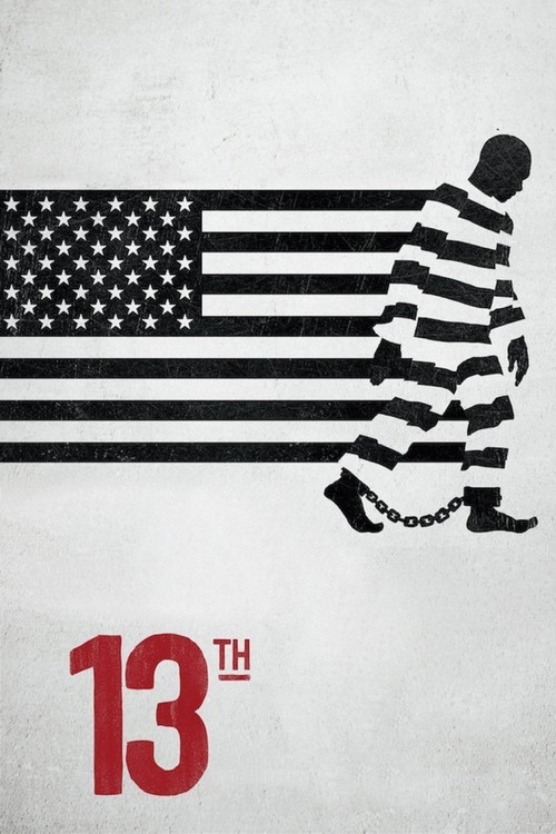 Movie poster for 13th (2016)
