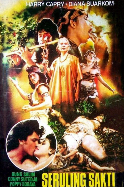 Movie poster for Magical Flute (1983)