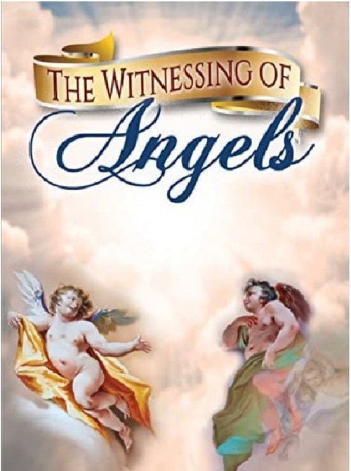 Movie poster for The Witnessing of Angels (2006)