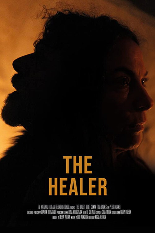 Movie poster for The Healer (2019)