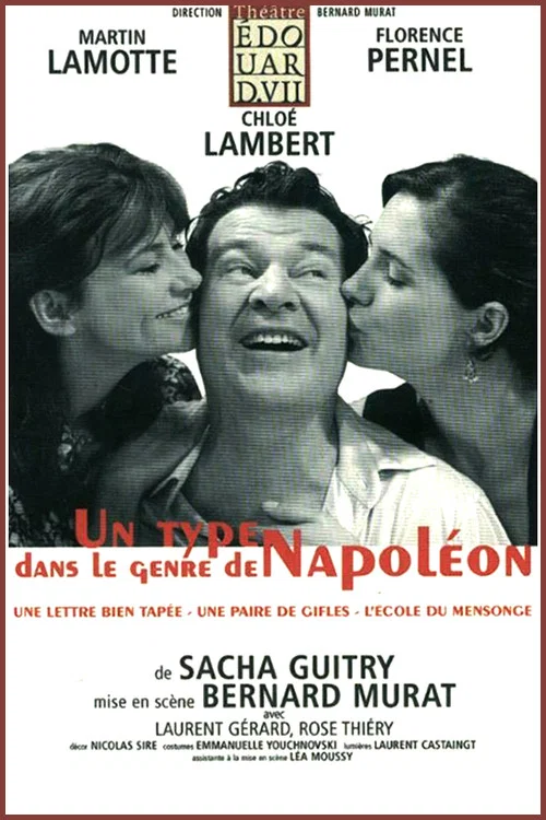 Movie poster for Un type dans le genre de Napoléon (2008)