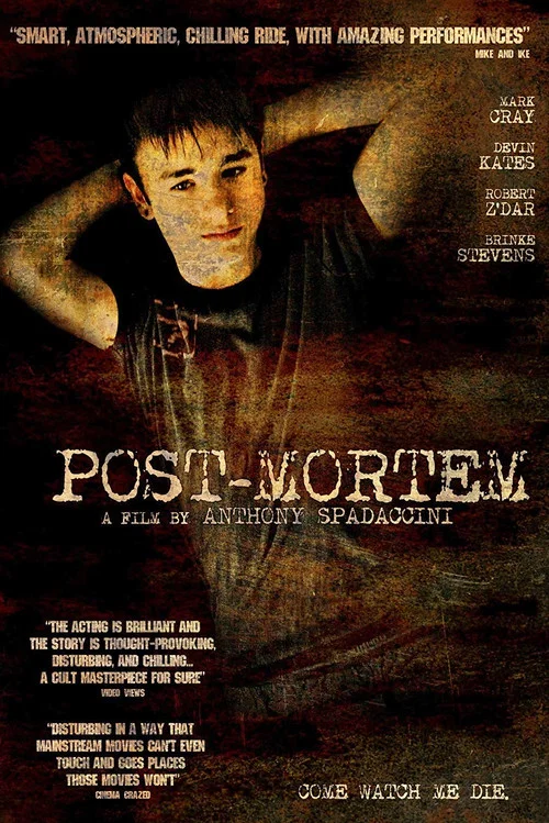 Movie poster for Post-Mortem (2010)