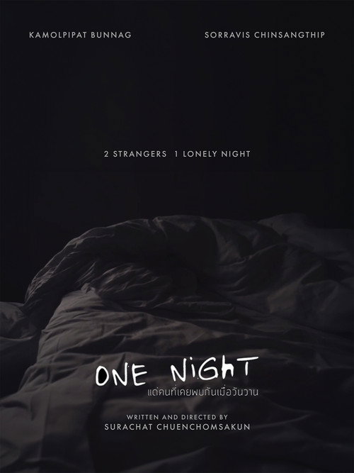 Movie poster for One Night (2016)