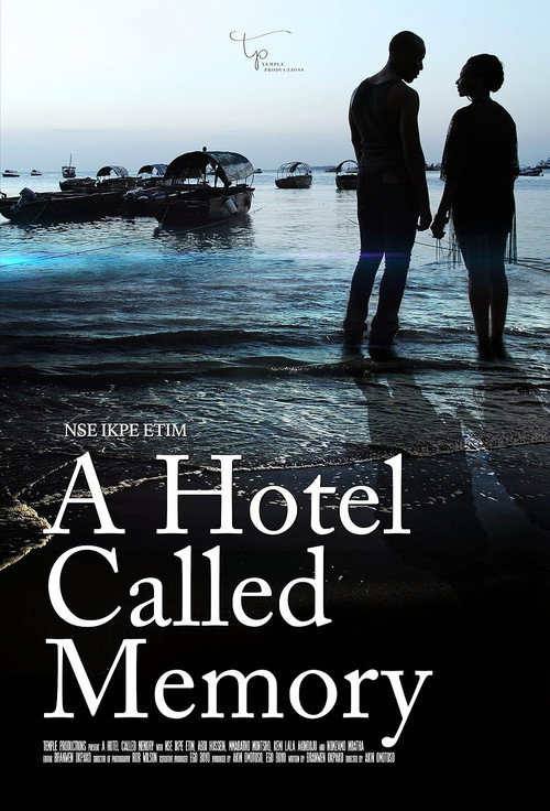 Movie poster for A Hotel Called Memory (2017)
