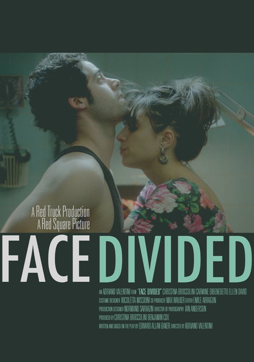 Movie poster for Face Divided (2011)