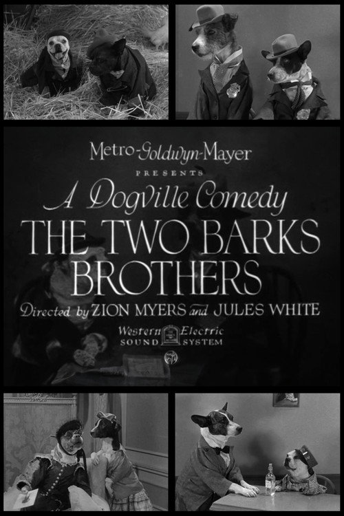 Movie poster for The Two Barks Brothers (1931)