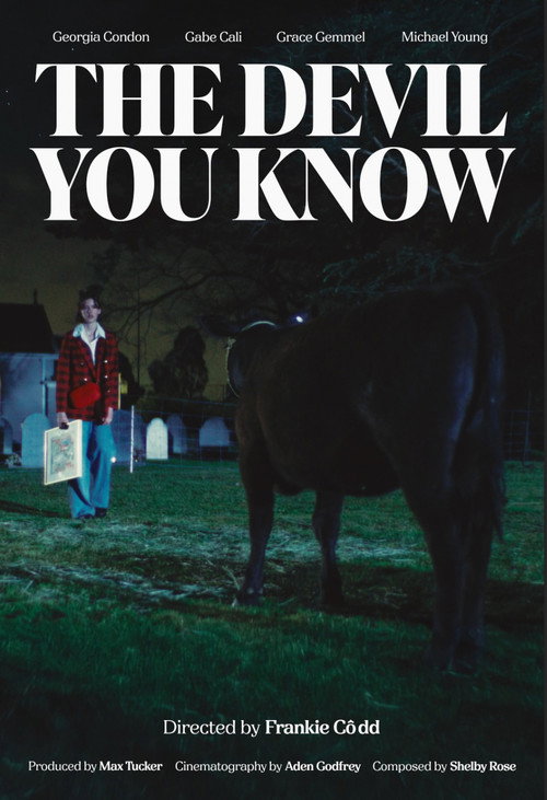 Movie poster for The Devil You Know