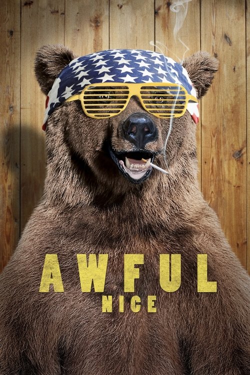 Movie poster for Awful Nice (2013)