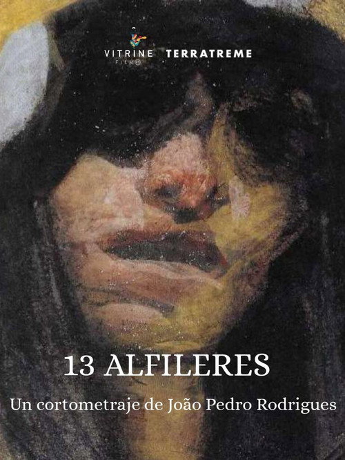 Movie poster for 13 Alfinetes (2025)