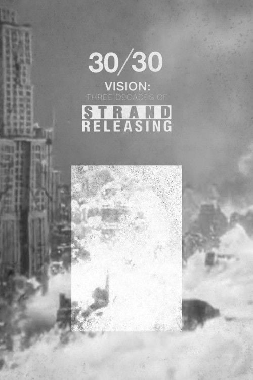 Movie poster for 30/30 Vision: Three Decades of Strand Releasing (2019)