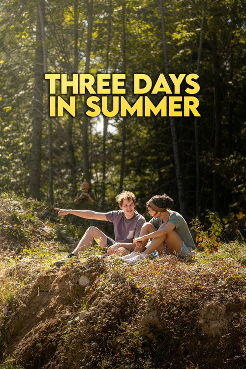 Movie poster for Three Days in Summer