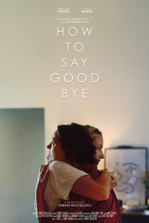 Movie poster for How to Say Goodbye (2025)
